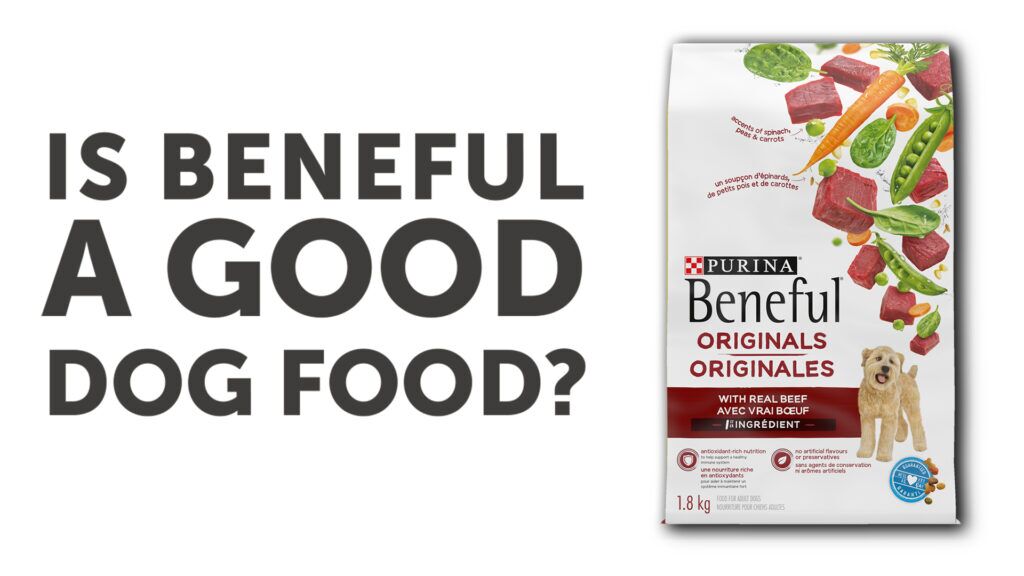 beneful small bites review