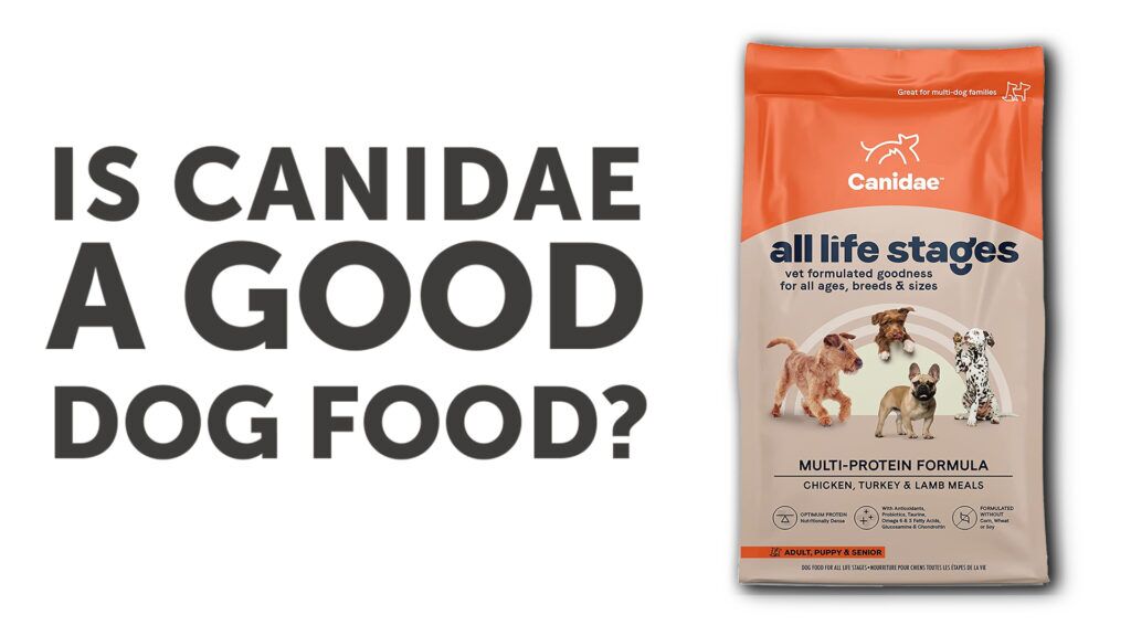 canidae limited ingredient dog food review