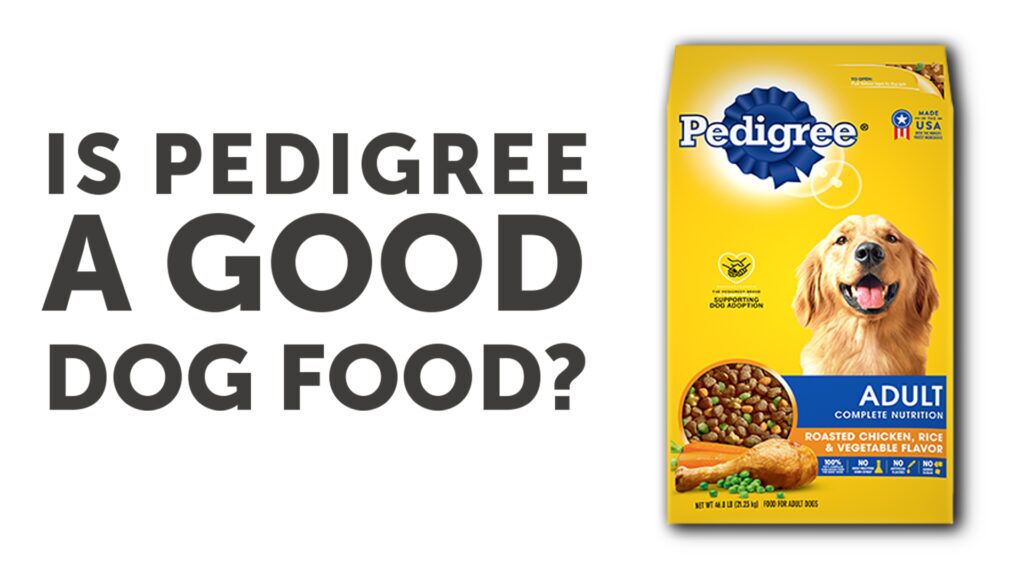 Pedigree Dog Food Reviews  DogFoodReviews.com