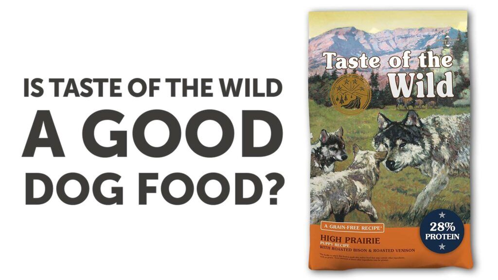 Taste of the Wild Dog Food Reviews