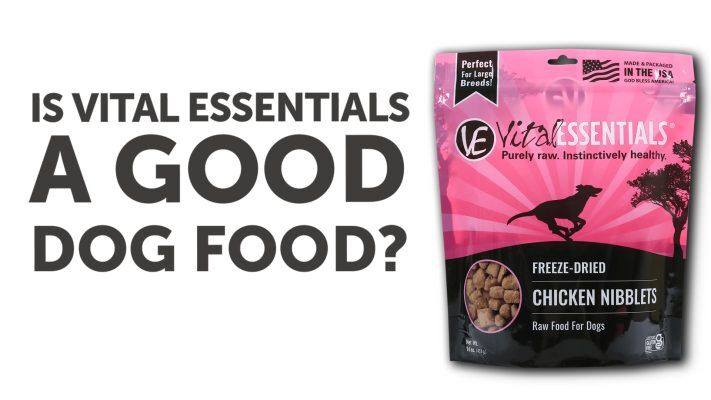 Vital Essentials Chicken Nibblets Freeze Dried Dog Food